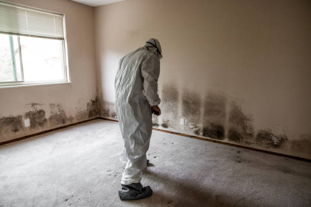 Best Biohazard Mold Removal  in , MA